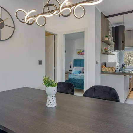 Gigi - Happy Apartment Visnjan